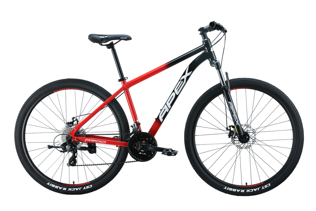 A900  I 29 inch Alloy MTB